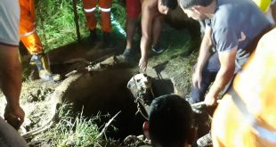 Imagen de Asociacion Bomberos Voluntarios Arroyito