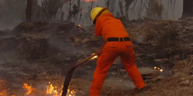 Anunciaron un proyecto para restaurar los daños ocasionados por el fuego en Córdoba