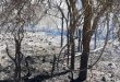 El incendio en Valle de Punilla no registra actividad