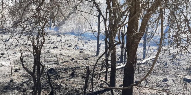 El incendio en Valle de Punilla no registra actividad