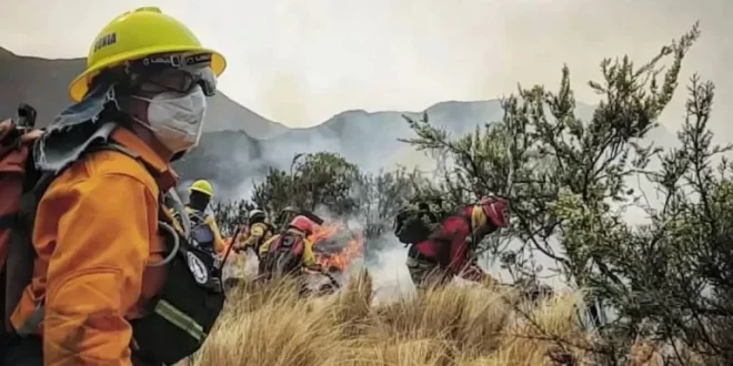 Por los incendios en Córdoba, declararon la emergencia ambiental