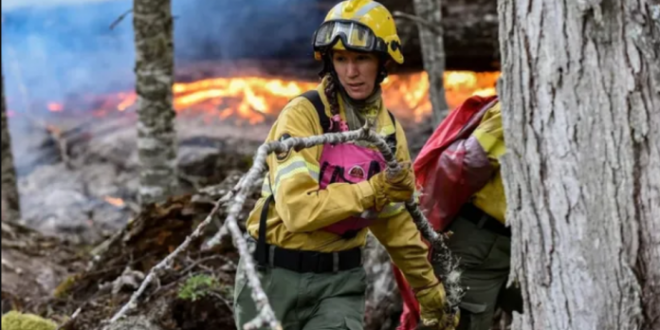 El fuego consume casi 1.500 hectáreas en el Parque Nacional Nahuel Huapi