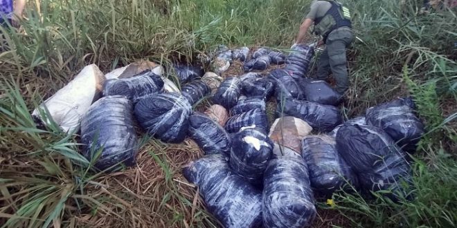 Hallaron más de 700 kilos de marihuana en Misiones